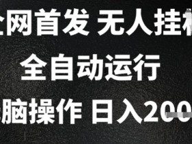 2025首发无人挂G项目，日入2k+，全自动运行，无脑操作，长期稳定 小白可玩【揭秘】