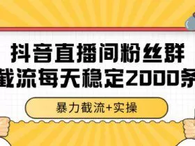 抖音直播间粉丝群暴力截流，一台电脑每天稳定2000条数据【揭秘】