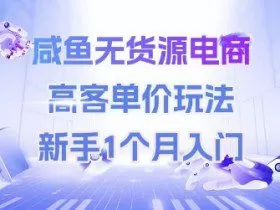 咸鱼无货源电商，高客单价玩法，新手1个月入门