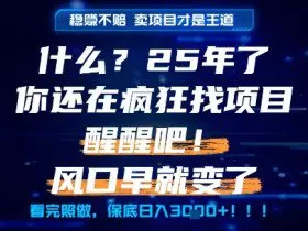 什么？25年你还在疯狂找项目做，醒醒吧，看完这些你全都懂了！【揭秘】