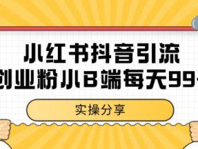 小红书抖音创业粉，小B端粉自热 日引99+的一个玩法【揭秘】