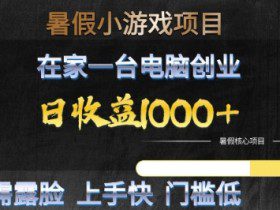 暑假小游戏项目，在家一台电脑创业，日收益1k+，无需露脸，上手快门槛低【揭秘】