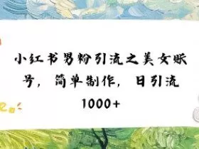小红书男粉引流项目之美女账号6，简单制作，条条爆款原创，不违规