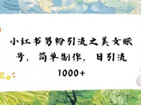 小红书男粉引流项目之美女账号6，简单制作，条条爆款原创，不违规