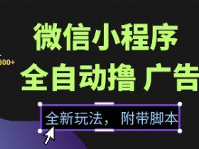 微信小程序全自动撸广告项目，彻底解决没流量的问题，新手一天8张+【揭秘】