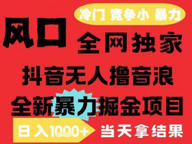 25年6月高爆抖音无人直播最新撸音浪掘金项目，解放双手小白可做，无脑日入1k+，门槛低【揭秘】