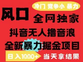 25年6月高爆抖音无人直播最新撸音浪掘金项目，解放双手小白可做，无脑日入1k+，门槛低【揭秘】