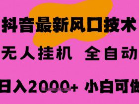 最新抖音无人直播挂G掘金，纯暴力项目，小白可玩，长期稳定，全自动运行日入2k+，可批量操作【揭秘】