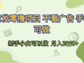 首发零撸项目 不看广告 手机可做 新手小白可以做  月入3k+【揭秘】