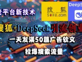 搜狐+DeepSeek引流创业粉，老平台新技术，一天发满50篇广告软文，拉爆搜索流量