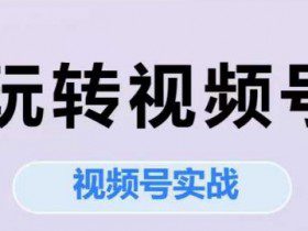 玩转视频号，视频号实战系列课