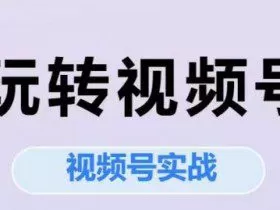 玩转视频号，视频号实战系列课