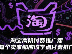 淘宝高阶付费推广课，每个卖家都应该学点付费推广