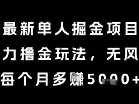 最新单人掘金项目，暴力撸金玩法，无风控，每个月多挣5k+【揭秘】