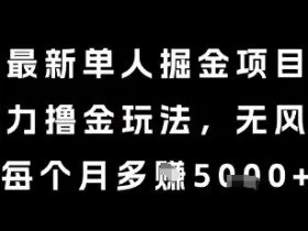 最新单人掘金项目，暴力撸金玩法，无风控，每个月多挣5k+【揭秘】
