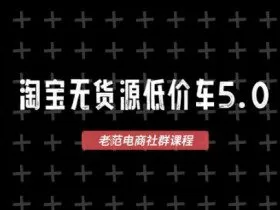 淘宝无货源2025VIP教程，​最新的淘宝无货源课程，1688代发，蓝海选品，零成本创业首选