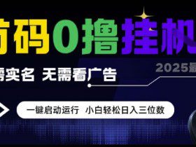 首码0撸挂G项目，无需实名无需看广告 一键启动运行，小白轻松日入三位数【揭秘】