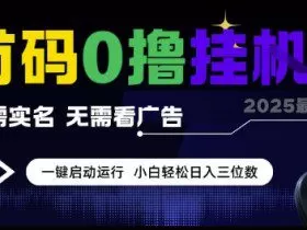 首码0撸挂G项目，无需实名无需看广告 一键启动运行，小白轻松日入三位数【揭秘】