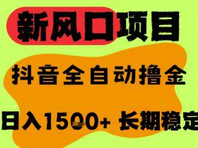 最新风口抖音无人直播掘金，纯暴力项目，无人撸音浪，全自动运行日入1.5k+，可矩阵放大【揭秘】