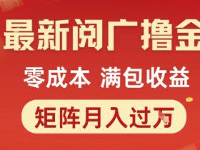 最新阅广撸金项目，零成本满包收益，可矩阵操作，月入过1W【揭秘】