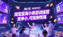 淘宝蓝海小类目训练营， 竞争小可复制性强
