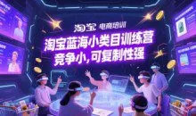 淘宝蓝海小类目训练营， 竞争小可复制性强
