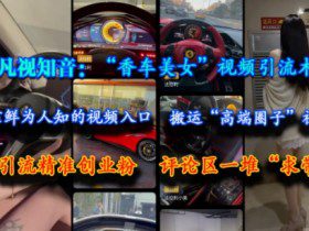 凡视知音：“香车美女”视频引流术，依靠鲜为人知的视频入口，搬运“高端圈子”视频，引流精准创业粉，评论区一堆“求带”