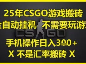 25年CSGO游戏搬砖，全自动运行，不需要玩游戏，手机操作日入3张(不是汇率搬砖)【揭秘】