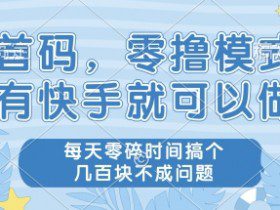 首码零撸项目，有快手就可以做，每天业务时间搞个几张不是问题【揭秘】