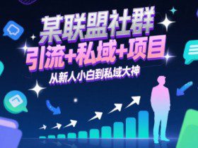 某联盟社群，引流+私域+项目，从新人小白到私域大神