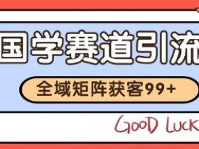 国学赛道精准拓客，自热矩阵日引99+ 获客SOP【揭秘】