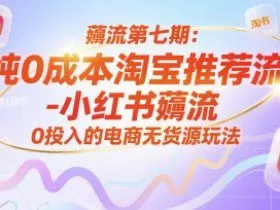 薅流第七期：纯0成本淘宝推荐流-小红书薅流最新版目，0投入的电商无货源玩法（附赠往期）