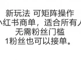 可矩阵操作，小红书商单新玩法，适合所有人，无需粉丝门槛，1粉丝也可以接单