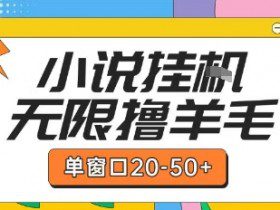 最新小说挂G自撸玩法本人实操单窗口20-50+可矩阵放大操作【揭秘】