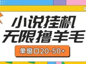最新小说挂G自撸玩法本人实操单窗口20-50+可矩阵放大操作【揭秘】