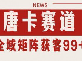 唐卡赛道私域引流获客 自热矩阵SOP日引流99+精准客资【揭秘】