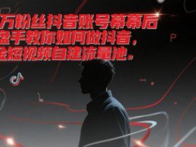 千万粉丝抖音账号幕后操盘手教你如何做抖音，掘金短视频自建流量池