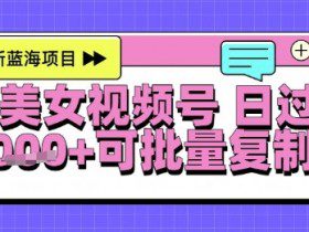 视频号AI美女跳舞暴力起号玩法，日入1k+，全程软件操作，小白也能玩的项目