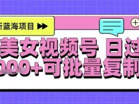 视频号AI美女跳舞暴力起号玩法，日入1k+，全程软件操作，小白也能玩的项目