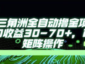 最新AI全自动游戏撸金项目，单窗口收益30-70+，可批量操作【揭秘】