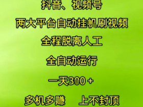 抖音视频号两大平台自动运行，全程脱离人工，自动获取收益，一天3张+，多机多挣，上不封顶【揭秘】