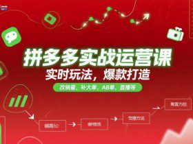 拼多多实战运营课,实时玩法,爆款打造,改销量,补大单,AB单,直播等(更新2025月)