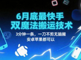 6月底最新快手双魔法搬运技术，3分钟一条，一刀不剪无脑搬，安卓苹果都可以