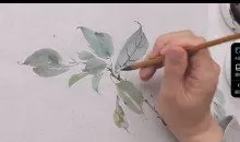 月升绘馆国画基础课