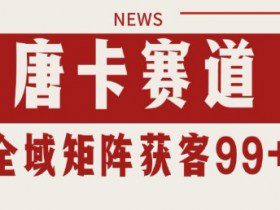 小红书某音唐卡赛道引流获客 自热矩阵日引200+【揭秘】