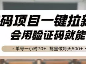 首码项目一键拉新，会用验证码就能做 单号一小时70+，批量做每天5张【揭秘】
