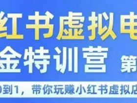 小红书虚拟电商掘金特训营第1期，从0到1，带你玩转小红书虚拟店铺