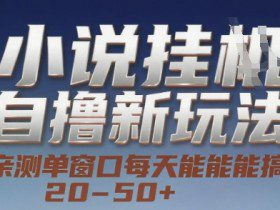 小说自撸新玩法 — 亲测单窗口每天能搞 20-50+，支持矩阵化批量操作【揭秘】
