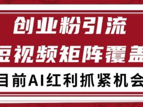 小红书某音创业赛道引流获客 自热矩阵日引200+【揭秘】