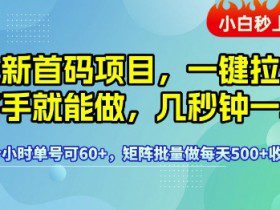最新首码项目，一键拉新有手就能做，几秒钟一单，1个小时单号可60+，矩阵批量做每天5张【揭秘】
